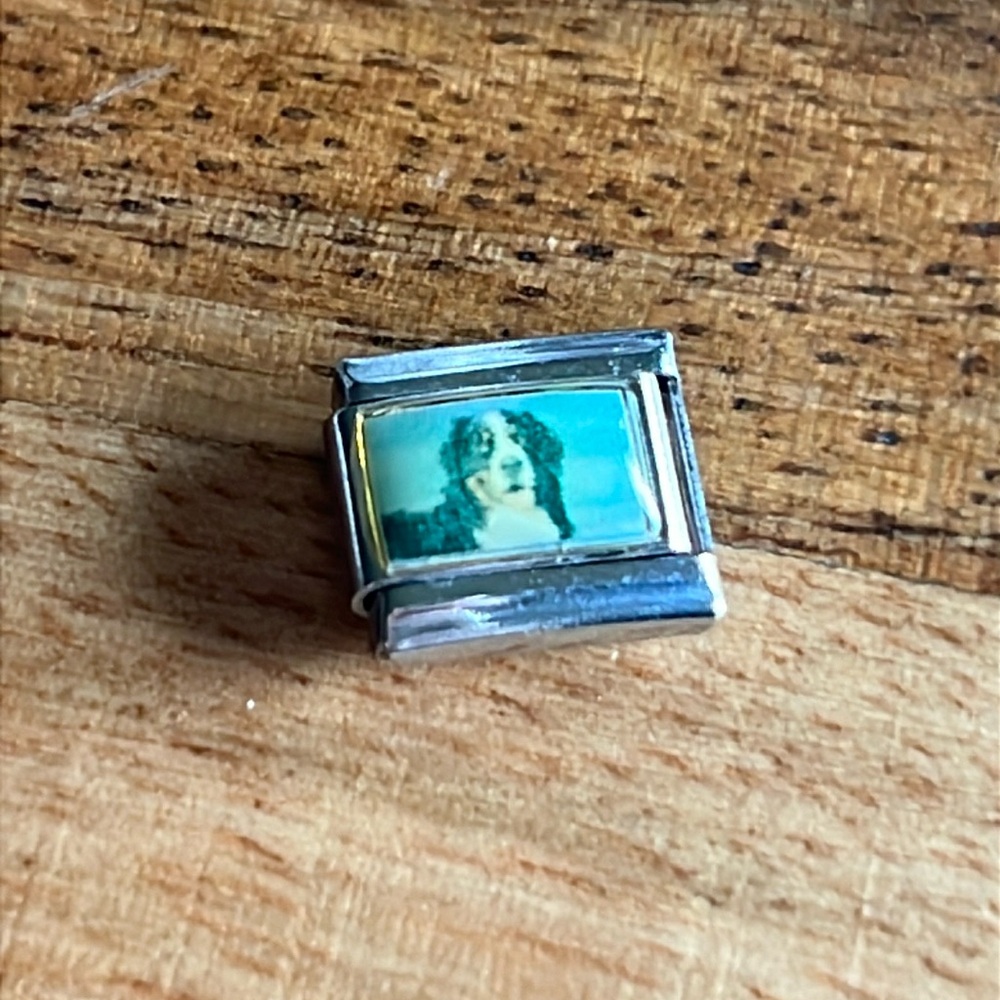 Uberry Italian Charm Enamel Links 9MM- Dogs - Picture 2 of 5